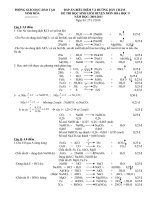Đáp án hóa HSG 2010-2011 NH