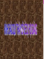 Bài soạn T.86 NV6  So sánh (Tiếp) -Hay