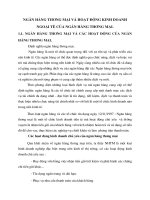 Ngân hàng thương mại và hoạt động kinh doanh ngoại tệ của Ngân hàng thương mại