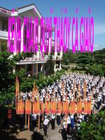 Gián án Đường tròn (tiết 16)