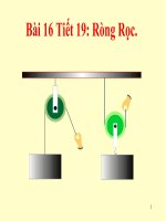 Bài giảng TUẦN 20 Bai 16 Tiet 19  Rong roc