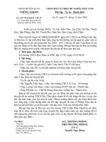 Hướng dẫn thực hiện chuyên đề Toán 2010