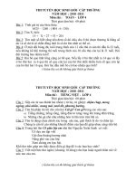 Gián án de thi HSG lop 4 ca Toan va TV