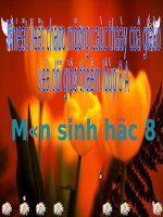 Gián án Tiết 43: Cấu tạo và chức năng của da