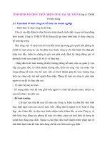 TÌNH HÌNH TỔ CHỨC THỰC HIỆN CÔNG TÁC KẾ TOÁN Công ty TNHH TM Hà Dung