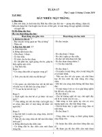 GA lớp 4 tuần 17 CKT-BVMT-KNS(Long)