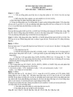 Gián án de thi hsg truong lop 11