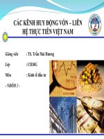 Các kênh huy động vốn, liên hệ thực tiễn việt nam 