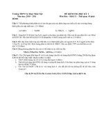 Đè Thi HK1 Lớp 11