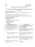 Bài soạn giáo án chủ đề tự chọn văn 10