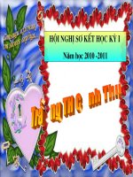 Bài soạn SO KET HOC KY I 2010-2011