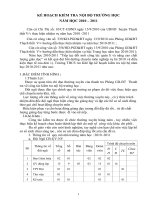 Tài liệu Ke hoach kiem tra noi bo