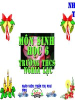 TH: Biến dạng của lá