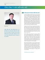  Báo cáo thường niên 2012 TỔNG CÔNG TY BẢO HIỂM BẢO VIỆT