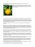 Chữa viêm khí phế quản mạn tính bằng hoa quả