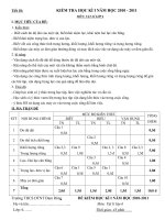 DE KT HK 1 VATLI 6 (10-11)