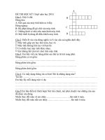 ĐỀ THI học kỳ 1 lop 3