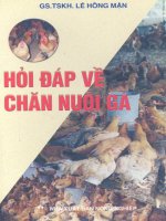 Hỏi đáp về chăn nuôi gà