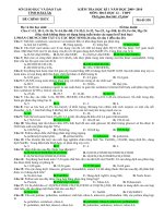 Kiểm tra kì I Sở GD&ĐT ĐăkLăk (09-10)