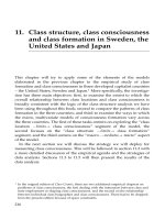 Class consciousness and class formation in Sweden, the United States and Japan