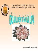 Bài giảng LTVC: Luyện tập thay thế từ ngữ để liên kết câu