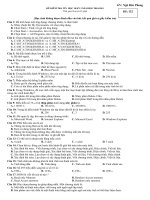 De kiem tra hoc ky I Tin hoc khoi 10