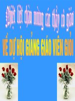 Tài liệu Dien tich hinh tron