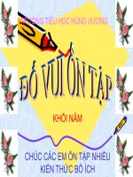 Bài soạn Đố vui ôn tập