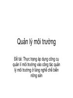 BÁO CÁO Đề tài: Thực trạng áp dụng công cụ quản lí môi trường vào công tác quản lý môi trường ở làng nghề chế biến nông sản