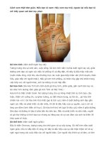 Các gò trên bàn tay