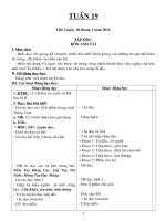 Bài giảng bai soan tuan 19 cktkn- kns-tuha