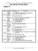 GA lpớ 5-tuần 17 -CKTKN+KNS 2010-2011
