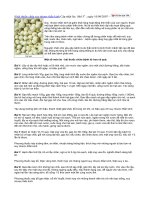 9 bài thuốc chữa suy nhược thần kinh