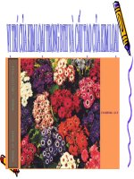 Gián án BÀI 18:VỊ TRÍ CỦA KIM LOẠI TRONG BTH VÀ CẤU TẠO CỦA  KIM LOẠI