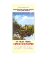 Kỹ thuật trồng-chăm sóc-thu hoạch Cheshan