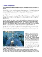 Tài liệu Bài về bệnh thấp tim