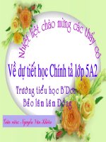 Chinh ta: Nguoi me cua 51 dua con