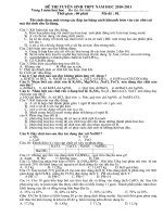 đề thi hoá học kỳ I trắc nghiệm 10-11