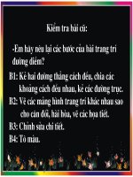 trang tri hinh vuong