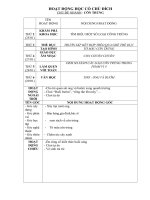 Gián án THẾ GIỚI ĐỘNG VẬT Nhánh 5