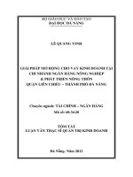 Giải pháp mở rộng cho vay kinh doanh tại chi nhánh ngân hàng nông nghiệp & phát triển nông thôn quận liên chiểu, thành phố đà nẵng 