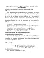 ứng dụng máy vi tính trong công tác kế toán nguyên vật liệu tại công ty khoá Minh Khai