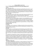 Các câu hỏi về môi trường