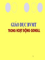 Bài soạn Chuyên đề GDBVMT Qua Giờ HĐNGLL