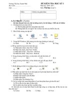 DE KIEM TRA TIN HOC  HOC KI I LOP 5