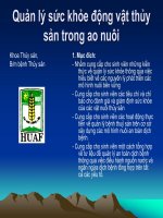 Quản lý sức khỏe động vật thủy sản trong ao nuôi