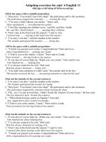 Bài soạn adaptingexercises  for unit 6 English 11