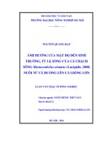 Ảnh hưởng của mật độ đến sinh trưởng, tỷ lệ sống của cá chạch sông mastacembelus armatus (lacépède, 1800) nuôi từ cá hương lên cá giống lớn 