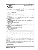 Bài giảng Giáo án 6 tiết 15