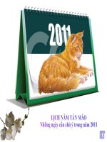 Gián án LỊCH 2011, VỚI CÁC HÌNH ẢNH ĐỘNG HIỆU ỨNG VÀ NHẠC